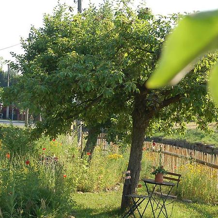 Ferienwohnung Katzstein Cunnersdorf Bagian luar foto
