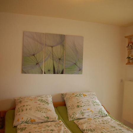 Ferienwohnung Katzstein Cunnersdorf Bagian luar foto